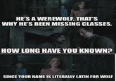 HE'S A WEREWOLF. THAT'S WHY HE'S BEEN MISSING CLASSES. HOW LONG HAVE YOU KNOWN? SINCE YOUR NAME IS LITERALLY LATIN FOR WOLF