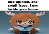 nice opinion. one small issue. i am inside your home