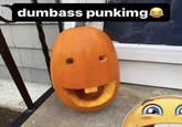 dumbass punkimg