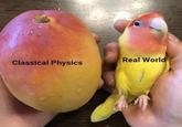 Real World Classical Physics