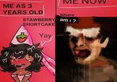 An "image macro":https://knowyourmeme.com/memes/image-macros meme showing a 3-year-old girl on the left in a princess outfit saying, "strawberry shortcake yay" and the same girl as a horrible creature in the modern day on the right saying, "Where am I?" The meme was originally posted to Reddit's /r/distressingmemes subreddit.