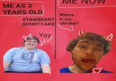 An "image macro":https://knowyourmeme.com/memes/image-macros meme showing fat "Dream":https://knowyourmeme.com/memes/people/dream on the left saying, "strawberry shortcake yay" and modern day Dream on the right saying, "Where is my vibrater?" The meme was originally posted by X user @tgirl_fangs.