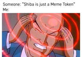 Someone: "Shiba is just a Meme Token" Me: