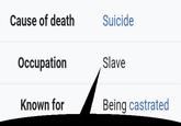 Cause of death Occupation Suicide Slave Known for Being castrated