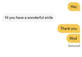Hi you have a wonderful smile Hey Thank you Wyd Delivered
