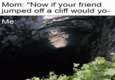 Mom: "Now if your friend jumped off a cliff would yo- Me: