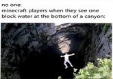 no one: minecraft players when they see one block water at the bottom of a canyon: T