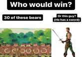 30 Bears vs 1 Sword Who would win? 30 of these bears C Or this guy? (He has a sword)