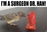 I'M A SURGEON DR. HAN!