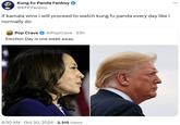 Kung Fu Panda gimmick account user pledging to continue watching Kung Fu Panda daily if Kamala Harris wins the 2024 United States Presidential Election