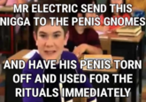 MR ELECTRIC SEND THIS N---- TO THE PENIS GNOMES AND HAVE HIS PENIS TORN OFF AND USED FOR THE RITUALS IMMEDIATELY