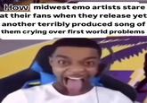 How midwest emo artists stare at their fans when they release yet another terribly produced song of them crying over first world problems