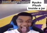How i stare at my Ryuko Plush Inside a jar B