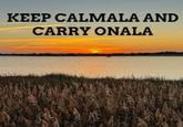 KEEP CALMALA AND CARRY ONALA