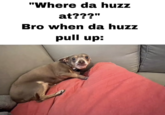 "Where da huzz at???" Bro when da huzz pull up: