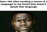 How I fell after sending a meme of a language to my friend that doesn't speak that language