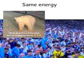 An image macro using an image of a polar bear in the street to point out someone who is out of place in a crowd. The image macro is captioned "same energy."