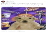 A viral tweet using the "catchphrase":https://knowyourmeme.com/memes/cultures/catchphrases "libbing out" ahead of the "2024 U.S. Presidential Election":https://knowyourmeme.com/memes/events/2024-united-states-presidential-election--3 when Democratic nominee Vice President "Kamala Harris":https://knowyourmeme.com/memes/people/kamala-harris lost to Republican nominee former President "Donald Trump":https://knowyourmeme.com/memes/people/donald-trump. This tweet uses the "Brainwashed Jotchua":https://knowyourmeme.com/memes/brainwashed-jotchua-brainwashed-kid image.