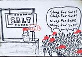 A political cartoon depicting a group of slugs chanting "slugs for salt" at a salt shaker making a speech on a stage, as if running for president. The comic was posted to Imgur in 2017 and is meant to criticize groups of people who support Trump for president despite his policies working against them.

