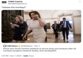 FOMO Capital FOMO CAPITAL @FOMOCapitalLLC "release the monkeys" CBS News @CBSNews Nov 7 Police warn South Carolina residents to secure doors and windows after 40 monkeys escaped a research facility. cbsn.ws/4eq2D7s 1:19 PM Nov 7, 2024 143K Views •