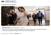 FOMO CAPITAL FOMO Capital @FOMOCapitalLLC "release the monkeys" CBS News @CBSNews • Nov 7 Police warn South Carolina residents to secure doors and windows after 40 monkeys escaped a research facility. cbsn.ws/4eq2D7s • 1:19 PM Nov 7, 2024 151.6K Views