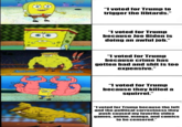 "I voted for Trump to trigger the libtards." "I voted for Trump because Joe Biden is doing an awful job." "I voted for Trump because crime has gotten bad and s--- is too expensive." "I voted for Trump because they killed a squirrel." "I voted for Trump because the left and the political correctness they push caused my favorite video games, anime, manga, and comics to be censored."