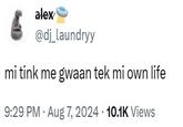 alex @dj_laundryy mi tink me gwaan tek mi own life 9:29 PM - Aug 7, 2024 10.1K Views