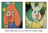 Which Angel Hare do you think got enough sleep?