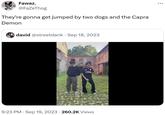 Fawaz. @FaZeThog They're gonna get jumped by two dogs and the Capra Demon david@streetdank • Sep 18, 2023 • 9:23 PM Sep 19, 2023 260.2K Views ...