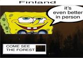 Finland COME SEE THE FOREST it's even better in person