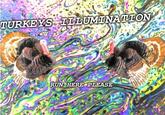 Thanksgiving's Just Around The Corner TURKEYS ILLUMINATION RUN HERE PLEASE