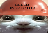 Just Gotta Check Yr Gleeb Real Quick GLEEB INSPECTOR