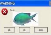 Pop Up Fish WARNING fissh ok ok dont