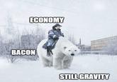 Not Sure How To Explain This More Clearly ECONOMY BACON STILL GRAVITY