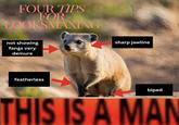 FOUR TIPS FOR LOOKSMAXING not showing fangs very demure featherless sharp jawline biped THIS IS A MAN