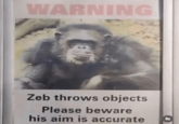 WARNING Zeb throws objects Please beware his aim is accurate 31