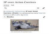 IP over Avian Carriers Article Talk A In computer networking, IP over Avian Carriers (IPOAC) is a proposal to carry Internet Protocol (IP) traffic by birds ^ Risks An example of packet loss.