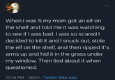 When I was 5 my mom got an elf on the shelf and told me it was watching to see if I was bad. I was so scared I decided to kill it and I snuck out, stole the elf on the shelf, and then ripped it's arms up and hid it in the grass under my window. Then lied about it when questioned. 10:14 PM • 7/6/21 ⚫ Twitter Web App