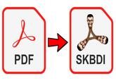 Д PDF SKBDI