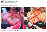 Mickey Blowtorch @MickeyBlowtorch Can't. Watching the fight. 11:30 PM - Nov 15, 2024 - 25.6K Views