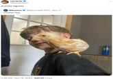 ramardo @Ramardoh1 el pollo vignolo Massimo Chicken boy @Rainmaker1973 · Nov 17 4:38 AM • Nov 19, 2024 649.2K Views