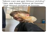 "Mom can we get Shisui Uchiha" "No, we have Shisui at home" The Shisui Uchiha at home: