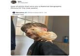 tgm. @TGM_007 type of photo that wins you a National Geographic Picture Of The Year award. Massimo @Rainmaker1973.2d Chicken boy
