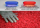 Blue pill that gives you a million dollars This is b-------! Now I can't find the blue one! Red pill that makes infinite copies of itself when you look at it