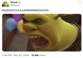 Shrek @Shrek MUSSSSTAAAAARRRRRRRDDDDD • 2:38 PM Nov 23, 2024 10.8M Views •