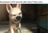 Businesses 0.003 seconds after black Friday ends: Your deal... just expired u/XLandonSkywolfX