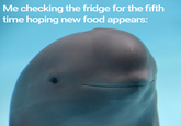 Me checking the fridge for the fifth time hoping new food appears: