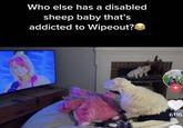 Who else has a disabled sheep baby that's addicted to Wipeout? 6116