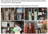 What IS this? that somehow still isn't the weirdest baby announcement photo i've seen from cishet people the whole genre of "BRED" cattle photos is far worse: BRED Bred ALT ALT BRED ALT ALT