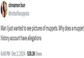 cinnamon bun @notsofiacoppola Man I just wanted to see pictures of muppets. Why does a muppet history account have allegations 6:48 PM • Dec 2, 2024 538.3K Views